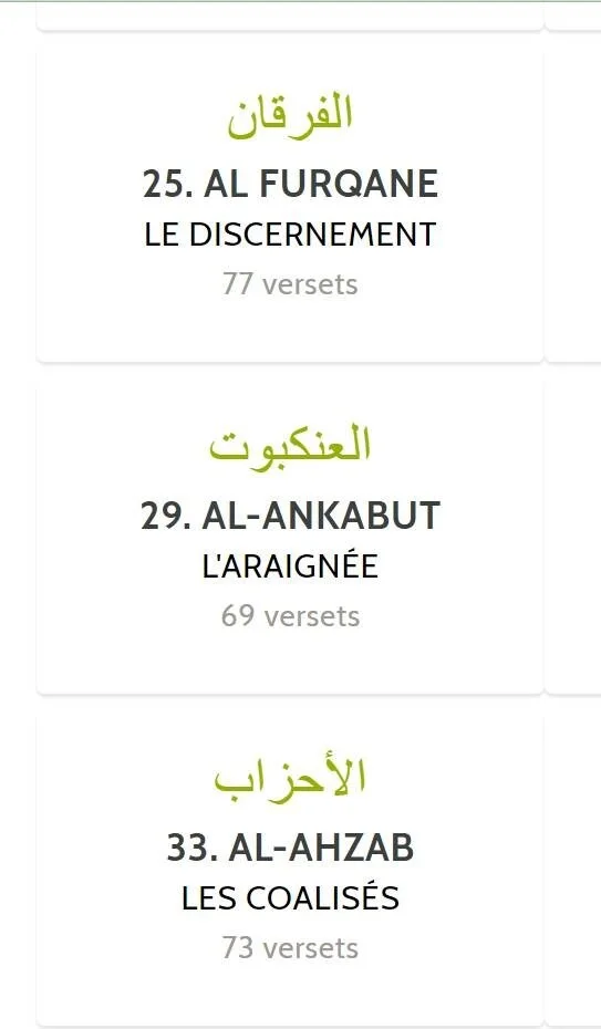 Sourate 29 l'Araignée 🕷 et ses "69" Versets